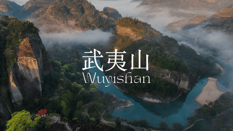 Wuyishan | Tea & TCM Wellness Journey