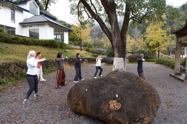 6 Days in Wuyishan: Reflections from Our November 2025 Tea & TCM Wellness Journey