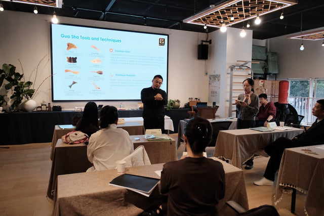 Traditional Chinese Medicine in Guangzhou: A Wellness Retreat Guide to External Healing