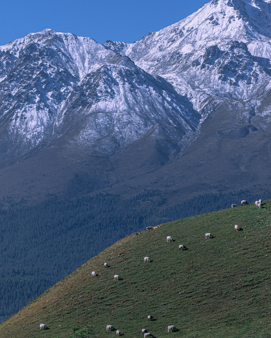 Qinghai | At the Edge of Sky, Sacred Landscape Retreat