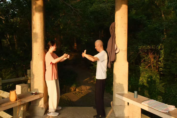 PLACEHOLDER — guests practising baduanjin with a physician