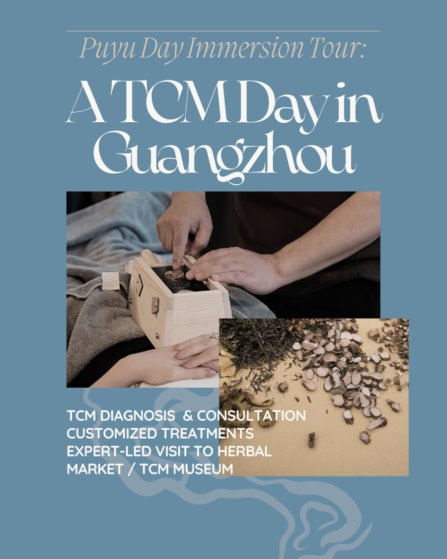 Day Tour | A TCM Day in Guangzhou