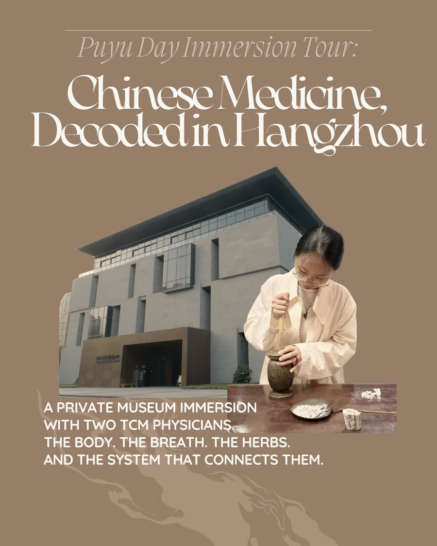 Day Tour | Chinese Medicine, Decoded in Hangzhou