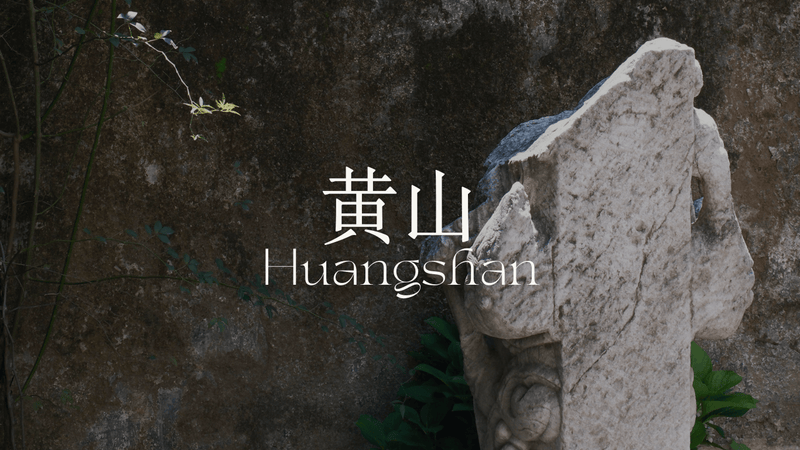Huangshan | Qi & Cultural Immersion Journey