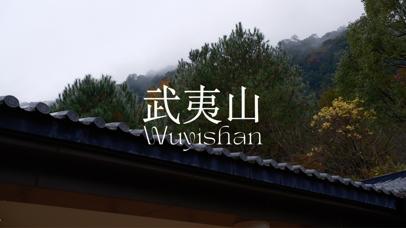 Wuyishan | Living Tea, Wellness Retreat