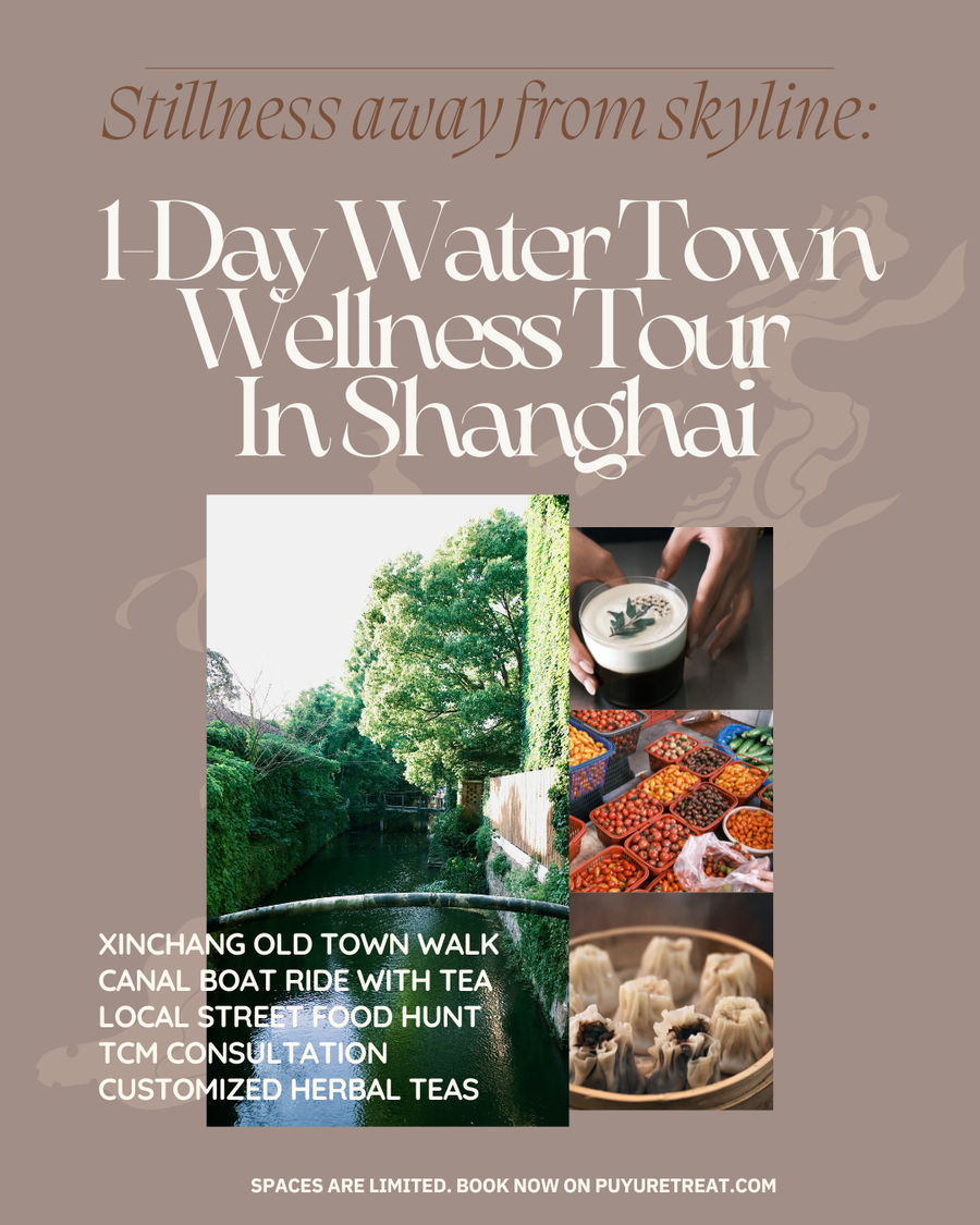 Day Tour | Wellness Tour In Xinchang, Shanghai