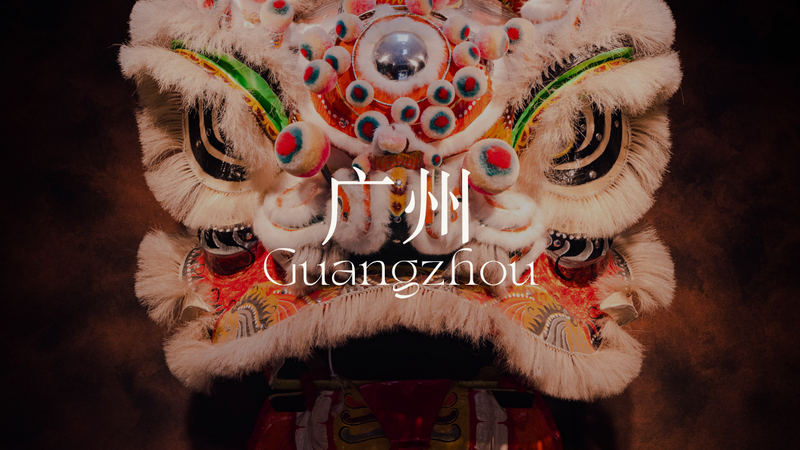 Guangzhou | TCM Immersive Retreat